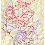 rabies bait map